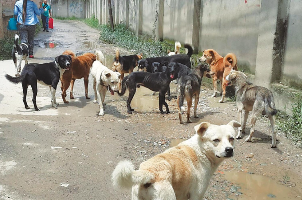 Weixin Image_20250814235433