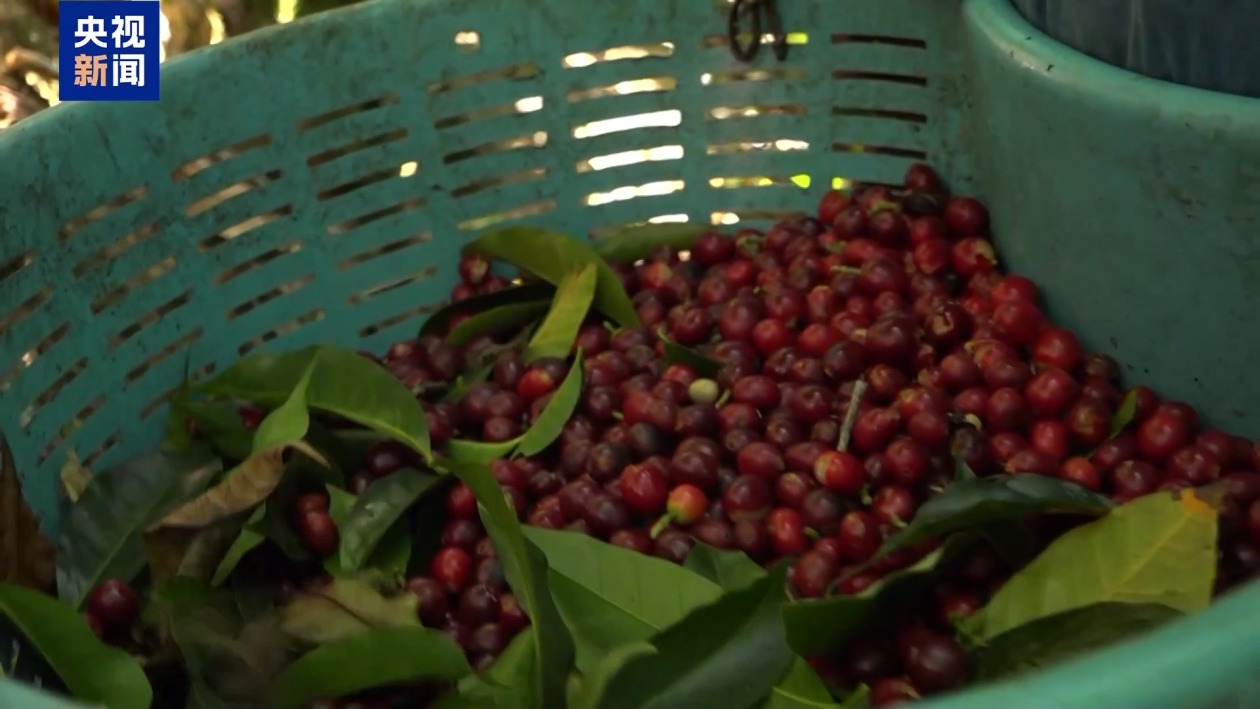 c02a81ff6c11d5f419b6b6b726771d64