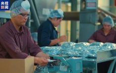 美关税影响哥斯达黎加咖啡出口 当地企业开拓其他海外市场