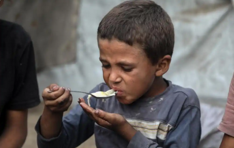 202508131006181286617632-475x300