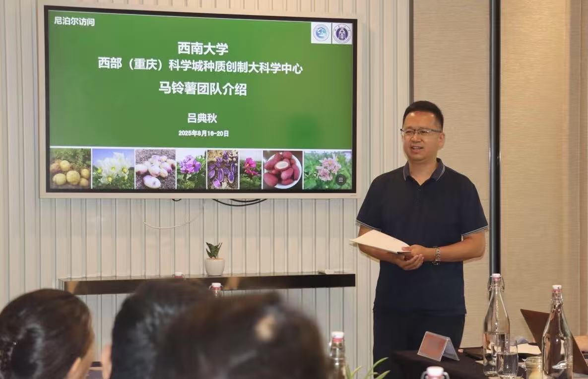 Weixin Image_20250817214808