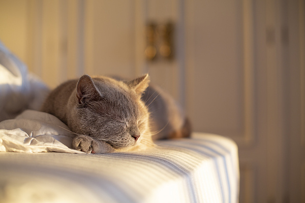 135d56e12f5dcfb053540a720320eb53u5