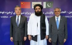 王毅：中阿巴应进一步密切各层级交往