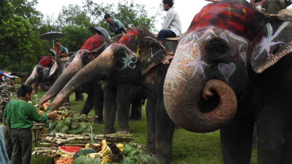 thumb-27-7kw7zsnpv4gyzp5fckjj99cwkc08tu6jjlo03pit1kw