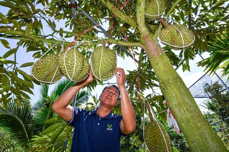 daaad973c04e283ed51bbb75569bf284