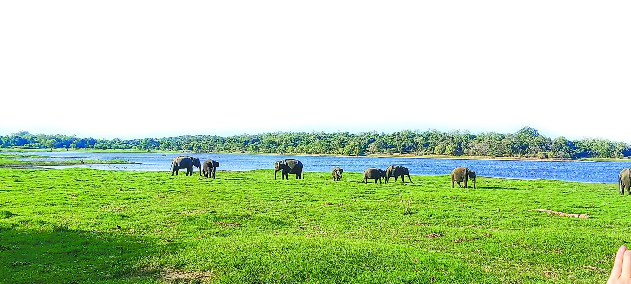 dc26af3c2bca4e401bc0d97b9911ad97u5