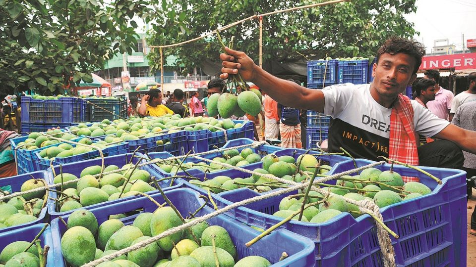 688c005ba310c26f68948470-7knze5baipwq17t41ejfol6nlpzz299o1hcrjutm79c