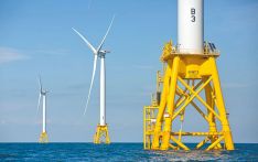 外媒：美政府叫停一大型风电场建设工作，目前该风电场已完工80%