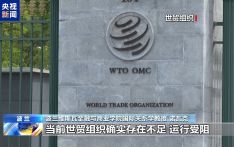 波兰学者：美国自身将成为加征关税最大输家