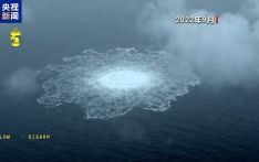 “北溪”爆炸事件一重要嫌疑人落网 疑为破坏行动主要负责人