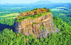 斯里兰卡的绿步步入心