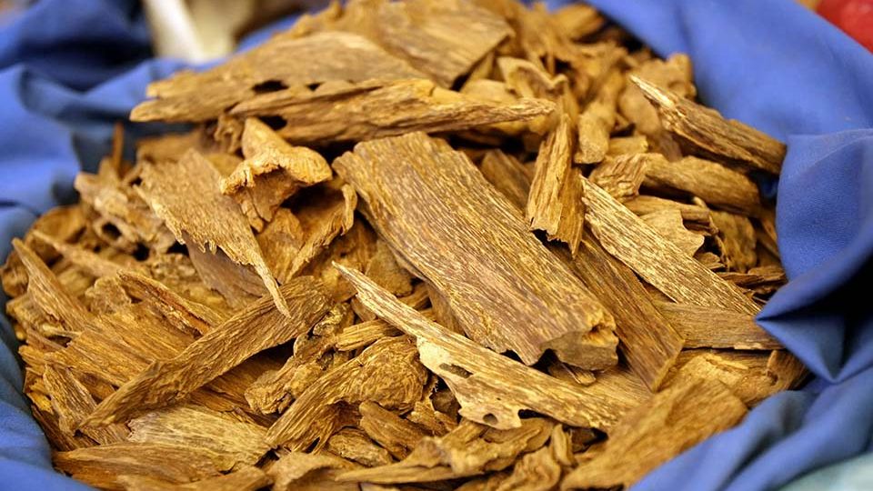 UC1Kxqo59hk5r-JWsUbrO5GuEvC8bK4q11kHMAlzhtg-7jhyzkk8grzez8xycykw59q4knssm0wtxa6azgeycsg