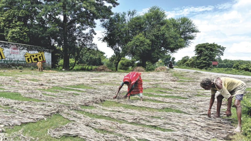 thumb-41-7kzn4307egxsnco7qj8tf7ctei5qwm7zzdyhdxe4hfk