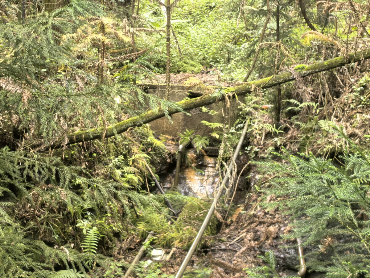 微信图片_2025-08-18_151101_181-1