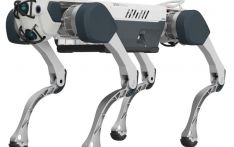 可可西里来了“机器藏羚羊”