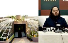 印媒：印度富豪旗下动物救助中心遭调查