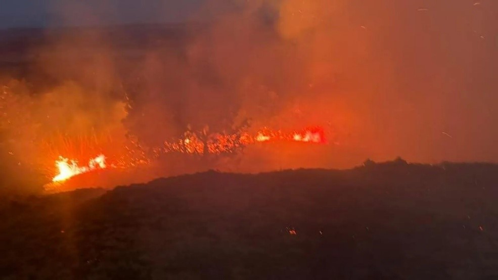 8d64dc4d0b28c8d1c1258975fa4c4144u5