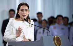 佩通坦被解职 新总理人选浮出 一文了解泰国政坛新动向