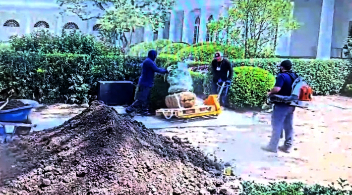 7811a906c4c2ae34b36b57ce0f4f991du1