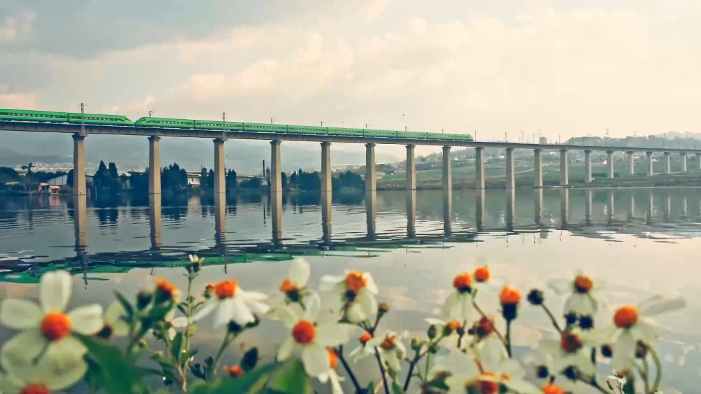 998710c8dc74daebaea4ba48c963e0ea