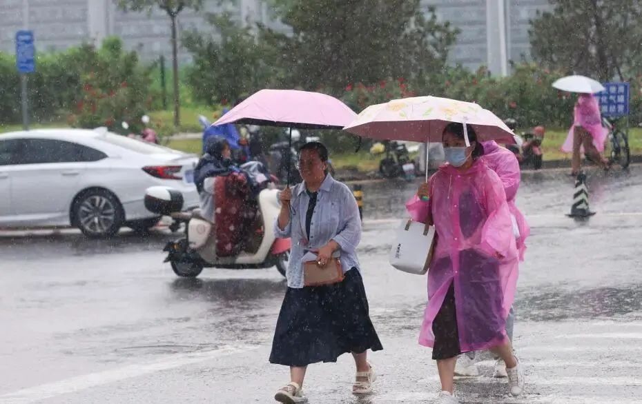 8d98325d07f192c536254895a2ca246ac37fd9151756338736