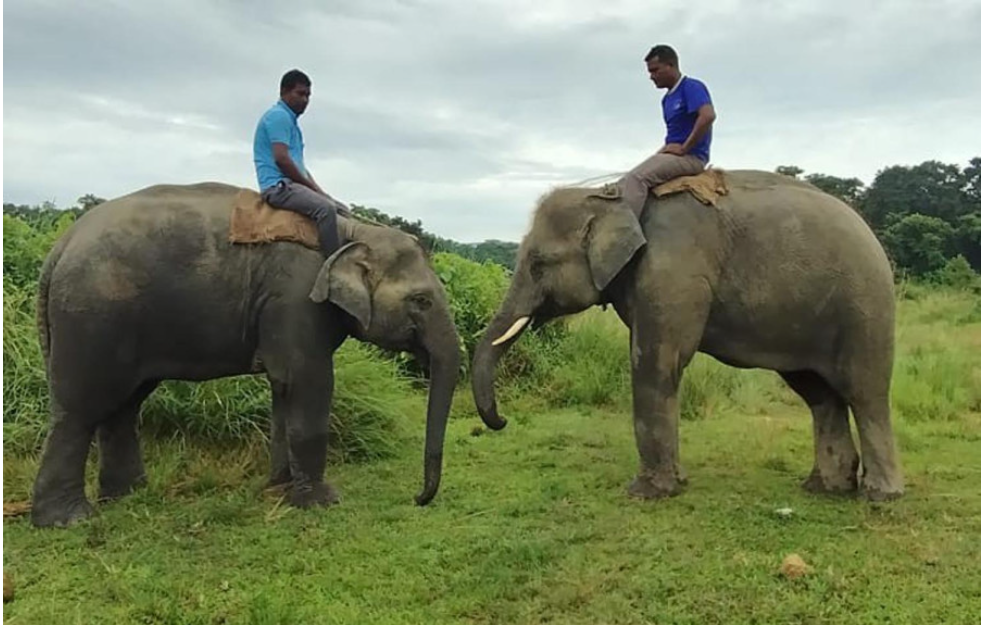 Weixin Image_20250902024349