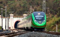 中老铁路助力东南亚榴莲畅销中国市场