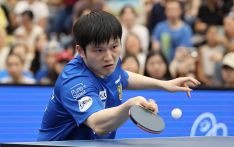 比赛门票售罄，促进当地旅游，樊振东带火德国乒乓球市