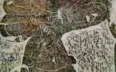 谁是孔门最可爱的弟子