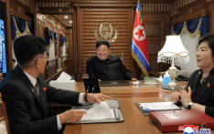 朝鲜公布访华阵容、金正恩专列画面