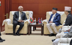 马尔代夫和尼泊尔承诺加强教育、经济和多边平台合作