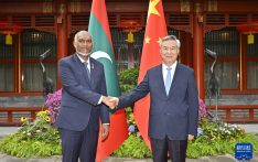 李希会见马尔代夫总统穆伊兹