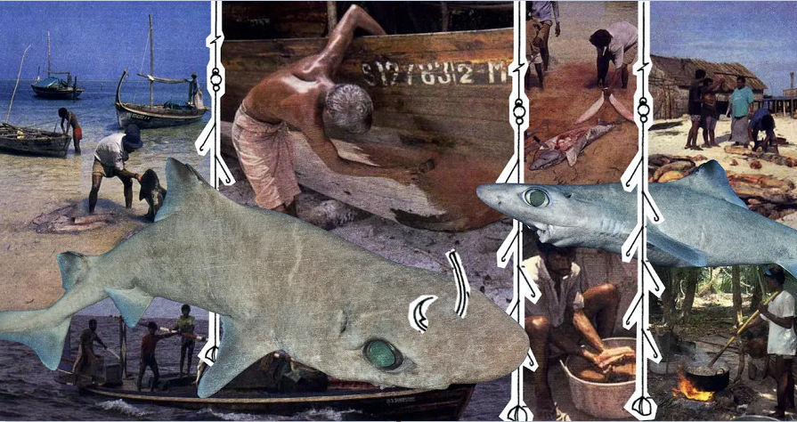 Weixin Image_20250903022655