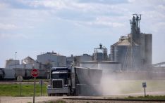 坐不住了？加拿大总理：努力解决加中两国油菜籽贸易问题