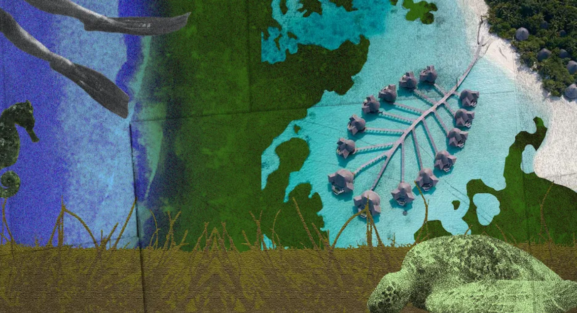 Weixin Image_20250905020659