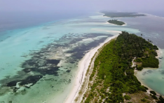 马尔代夫逆转全球趋势，海草草甸面积扩大三倍