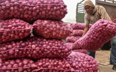 印度政府开始以补贴价格出售洋葱以应对通货膨胀