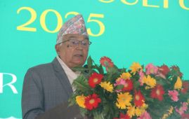 नेपाल कला तथा संस्कृति महोत्सव काठमाडौंमा सुरु