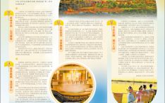 秋“丰”送爽 每帧都是“有一种叫云南的生活”