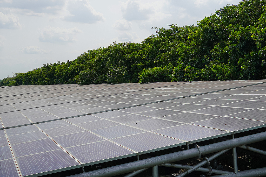 a7ba1aaa493a5137548207965689a164u5