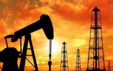 主要产油国10月将继续增产