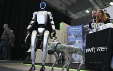 柏林电子展，中企“机器人含量”高