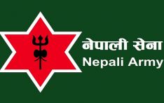 尼军方呼吁民众主动交还抗议中被盗抢武器弹药及安防物资