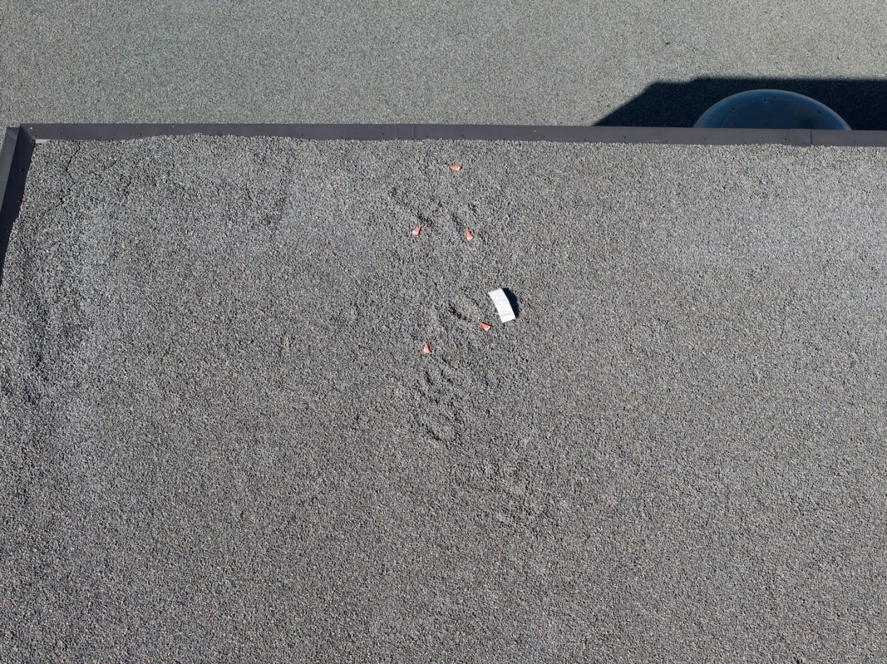 f0b8e5309861175d5e851d454dbdfdcbu5