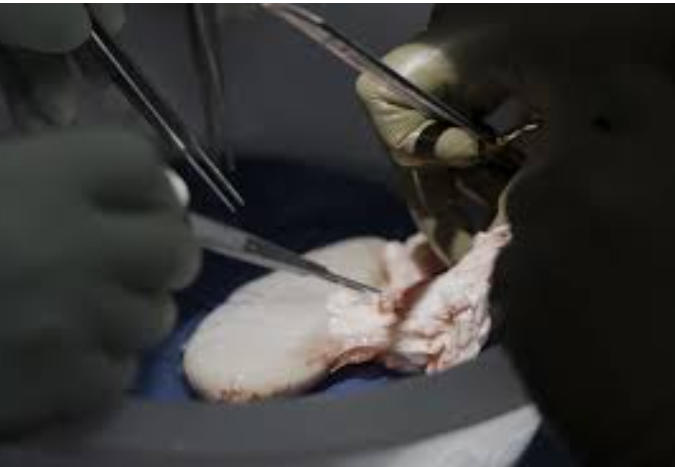 Weixin Image_20250915203302