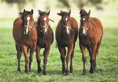 2e0a99e02746c0648aa41070be824921