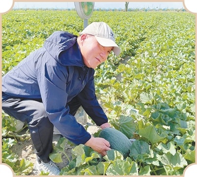 2409dda8f6ead31052dce3e6dec13e34