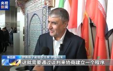 伊朗原子能组织主席：伊朗与国际原子能机构需建立新核查程序