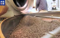 美国8月咖啡零售价因关税同比飙升 为近28年来最大涨幅