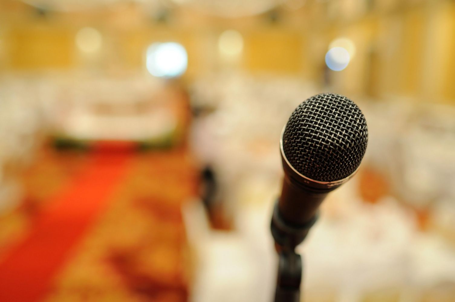 wVBrfR0l75_2500x1661